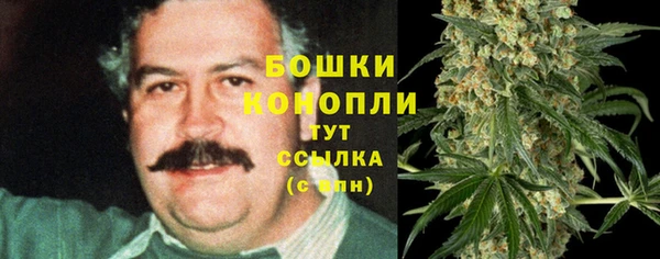 ГАЛЛЮЦИНОГЕННЫЕ ГРИБЫ Бронницы